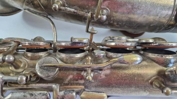 Lyon and Healy American Professional (1)